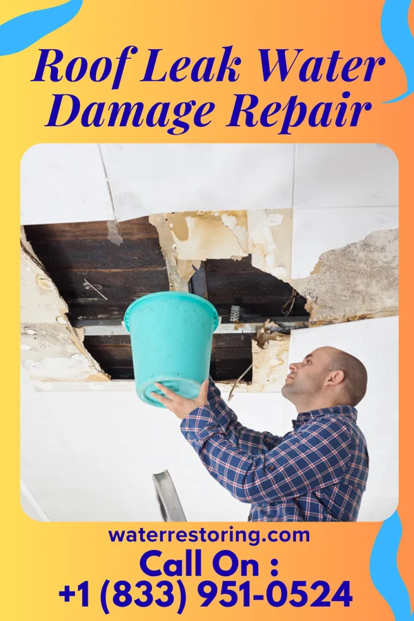 Roof Leak Water Damage Repair in Avalon, GA