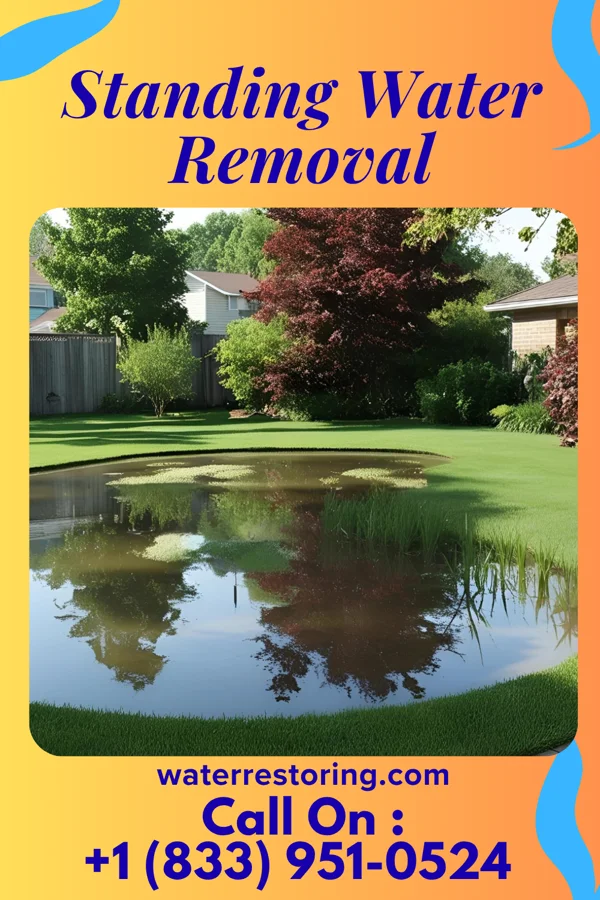 Standing Water Removal in Avalon, GA